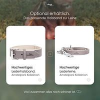 Produktbild von FREUDENTIER Hundeleine aus zertifiziertem Leder Amstelpark Kollektion Graubraun 2m 20mm breit - 2 m
