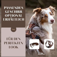 Produktbild von FREUDENTIER Hundeleine Clyde Braun aus Nylon wasserabweisend 2m Länge - 2 m