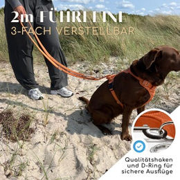 Freudentier Hundeleine Clyde Orange gepolstert und verstellbar 2m Länge 2,5cm Breite - 2 m – Bild 1 von 7