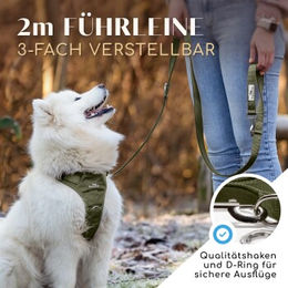 Freudentier Hundeleine gepolstert und verstellbar aus Nylon in Grün 2m – Bild 1 von 2