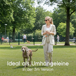 FREUDENTIER Leder Umhängeleine für Hunde 3m Grün – Bild 1 von 5