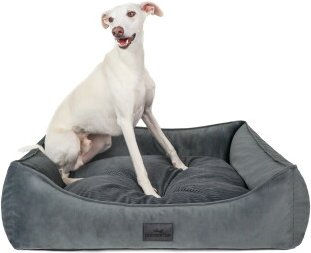 Freudentier Orthopädisches Hundebett mit Cord-Velour Wendekissen Anthrazit XXL – Bild 1 von 1