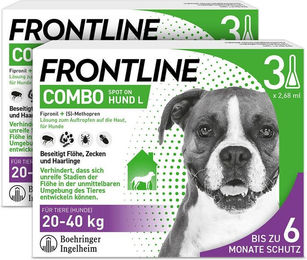 Frontline Combo Spot-on gegen Flöhe und Zecken für Hunde ab 20-40kg – Bild 1 von 3