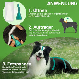 Frontline Combo Spot-on gegen Flöhe und Zecken für Hunde ab 40 kg XL (3 x 4,02 ml) – Bild 1 von 3