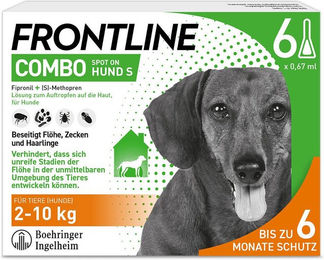 Frontline Combo Spot-on gegen Flöhe und Zecken für Hunde kleiner Rassen 2-10kg – Bild 1 von 3