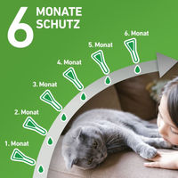 Produktbild von Frontline Combo Spot-On gegen Flöhe und Zecken für Katzen 3 x 0,5 ml
