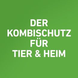 Produktbild von Frontline Combo Spot-On gegen Flöhe und Zecken für Katzen Kitten