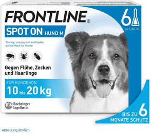 Frontline Spot On Floh- und Zeckenschutz für Hunde 10-20 kg 6 Pipetten – Bild 1 von 1