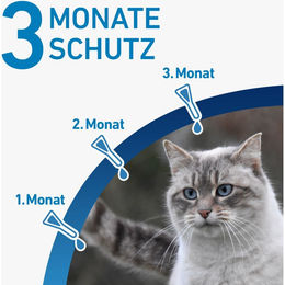Frontline Spot-On für Katzen gegen Zecken und Flöhe – Bild 1 von 5