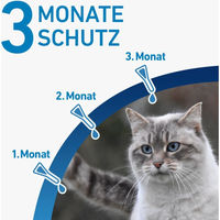 Produktbild von Frontline Spot-On für Katzen gegen Zecken und Flöhe