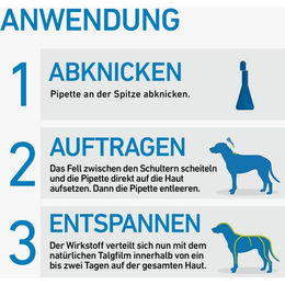 Frontline Spot On Hund gegen Zecken und Flöhe für große Rassen 6 Pipetten à 2,68 ml – Bild 1 von 2