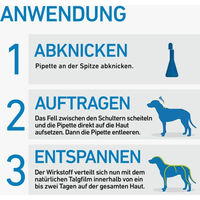 Produktbild von Frontline Spot On Hund gegen Zecken und Flöhe für große Rassen 6 Pipetten à 2,68 ml