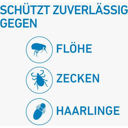 Frontline Spot On Hund S gegen Zecken und Flöhe für kleine Rassen 6 Pipetten – Bild 1 von 7