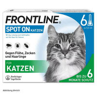 Produktbild von Frontline Spot-On zur Bekämpfung von Zecken und Flöhen für Katzen 6er Packung