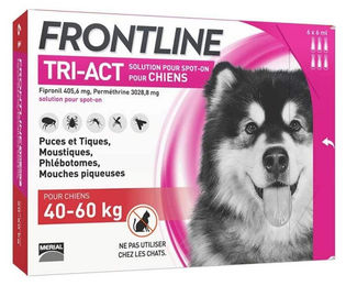 Frontline Tri-Act Hund XL 40-60 kg Boehringer Ingelheim – Bild 1 von 1