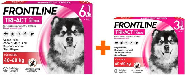 Frontline TRI-ACT Spot-on für Hunde 40-60 kg 9 Pipetten – Bild 1 von 1