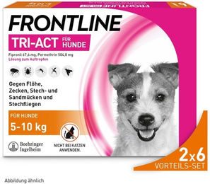 Frontline Tri-Act Spot-On gegen Zecken und Flöhe für kleine Hunde (5-10kg) – Bild 1 von 4