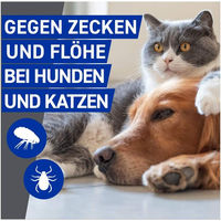 Produktbild von Frontline Vet Spray 250ml