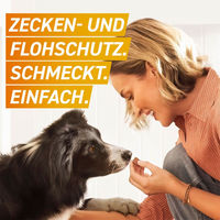 Produktbild von FRONTPRO Kautabletten gegen Zecken und Flöhe für Hunde 4-10 kg