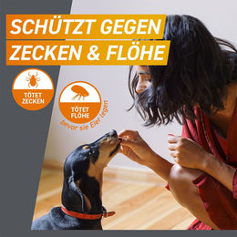 Frontpro Kautabletten gegen Zecken und Flöhe für Hunde großer Rassen 25-50 kg – Bild 1 von 5