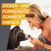 Produktbild von Frontpro Kautabletten von Boehringer Ingelheim gegen Zecken und Flöhe für große Hunde von 25-50 kg 3 Stück