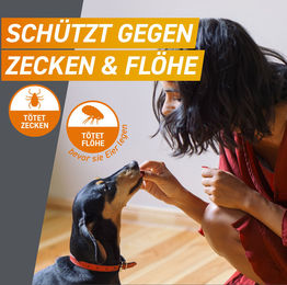 FRONTPRO L Kautabletten für Hunde gegen Flöhe und Zecken 10-25 kg 2 x 3 Tabletten – Bild 1 von 3