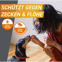 Produktbild von FRONTPRO L Kautabletten für Hunde gegen Flöhe und Zecken 10-25 kg 2 x 3 Tabletten