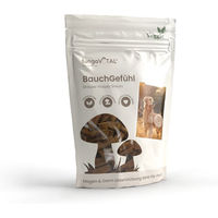 Produktbild von fungoVITAL BauchGefühl Funktionssnack Vegan und Ohne tierisches Protein für Sensitive Hunde
