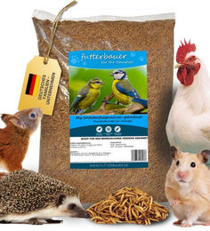 Produktbild von Futterbauer Ergänzungsfutter aus Soldatenfliegenlarven für Vögel und Fische 5kg