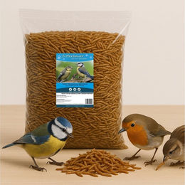 Produktbild von Futterbauer Getrocknete Mehlwürmer Insektenfutter für Wildvögel und Goldfische 10kg