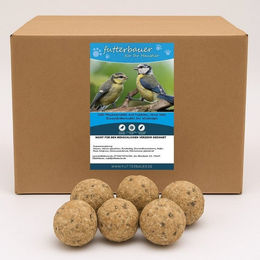 Produktbild von Futterbauer Meisenknödel mit Insekten für Wildvögel 100 x 90g