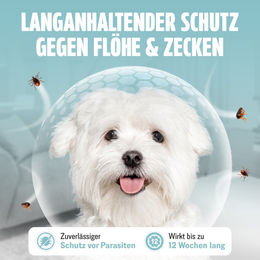 FUTUM Spot-On Repellent-Mittel gegen Flöhe und Zecken für Hunde kleiner Rassen 50,4 ml - 50,4 ml – Bild 1 von 6