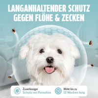 Produktbild von FUTUM Spot-On Repellent-Mittel gegen Flöhe und Zecken für Hunde kleiner Rassen 50,4 ml - 50,4 ml