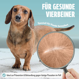 FUTUM Spot-On Repellent-Mittel gegen Flöhe und Zecken für Hunde kleiner Rassen und Junior 14,4 ml - 14,4 ml – Bild 1 von 2