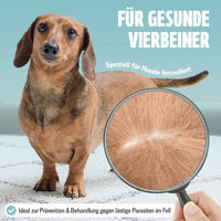 Produktbild von FUTUM Spot-On Repellent-Mittel gegen Flöhe und Zecken für Hunde kleiner Rassen und Junior 14,4 ml - 14,4 ml