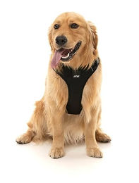 FuzzYard Active Go Reflektierendes Hundegeschirr Schwarz Größe XL – Bild 1 von 2