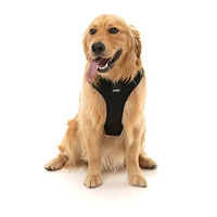 Produktbild von FuzzYard Active Go Reflektierendes Sportgeschirr für Hunde in Schwarz Größe M