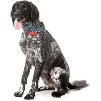 Produktbild von FuzzYard Hund Fashion-Set I Heart Candy Canes 2er Pack Bunt Größe M-L