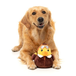 Produktbild von FuzzYard Hundespielzeug Ducks Amelia Quackhart Plüschspielzeug Gelb Größe L