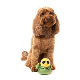 Produktbild von FuzzYard Hundespielzeug Ducks Goose Plüschspielzeug aus Polyester Größe S Grün