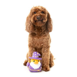 Produktbild von FuzzYard Hundespielzeug Ducks Sirius Quack Plüschspielzeug Lila Größe S