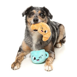 Produktbild von FuzzYARD Hundespielzeug Perfect Match Croissant & Cappuccino 2er Pack Plüschspielzeug aus Polyester
