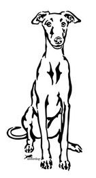 Produktbild von Galgo Grafiklizenz