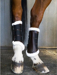 Produktbild von Gamaschen für das vordere Dressurpferd T de T "Training 22"