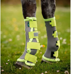 Produktbild von Gamaschen für Pferde Horseware