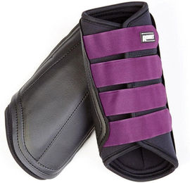 Produktbild von Gamaschen für Pferde Roma Brushing Boots