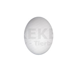 Produktbild von Gänseeier aus Gips