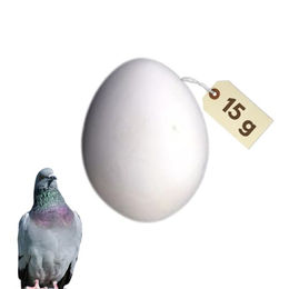 Produktbild von GarPet Nistkasten Legeeier Kunsteier Nesteier Gipseier Hühner Tauben Gänse Enten Eier