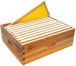 GarveeMore Bienenbeute 10 Rahmen Langstoth Medium Super Bienenstock Box – Bild 1 von 5