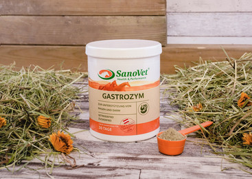 Produktbild von Gastrozym